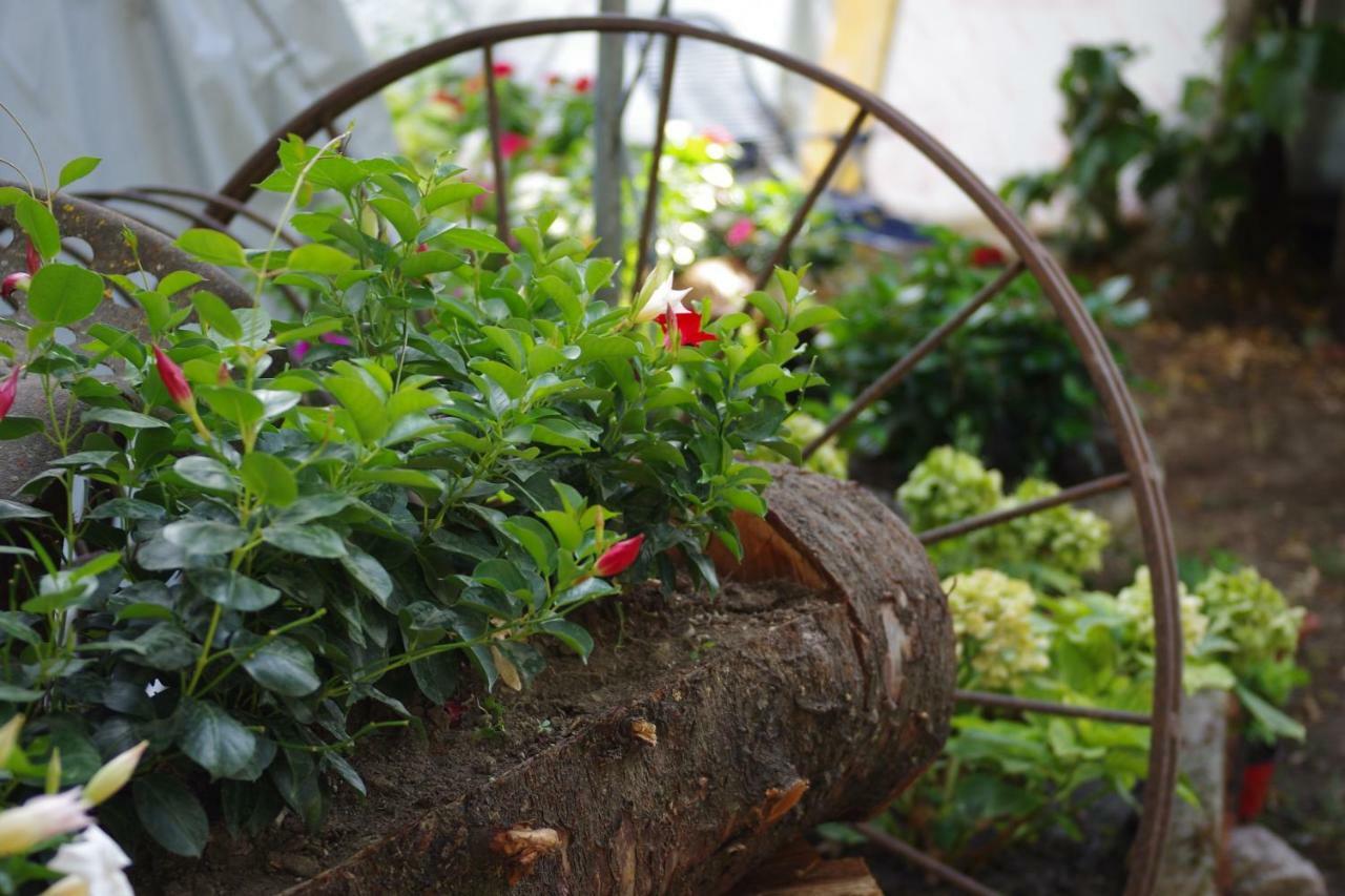 Fico Bologna 453 Bed & Breakfast Trebbo Di Reno Dış mekan fotoğraf